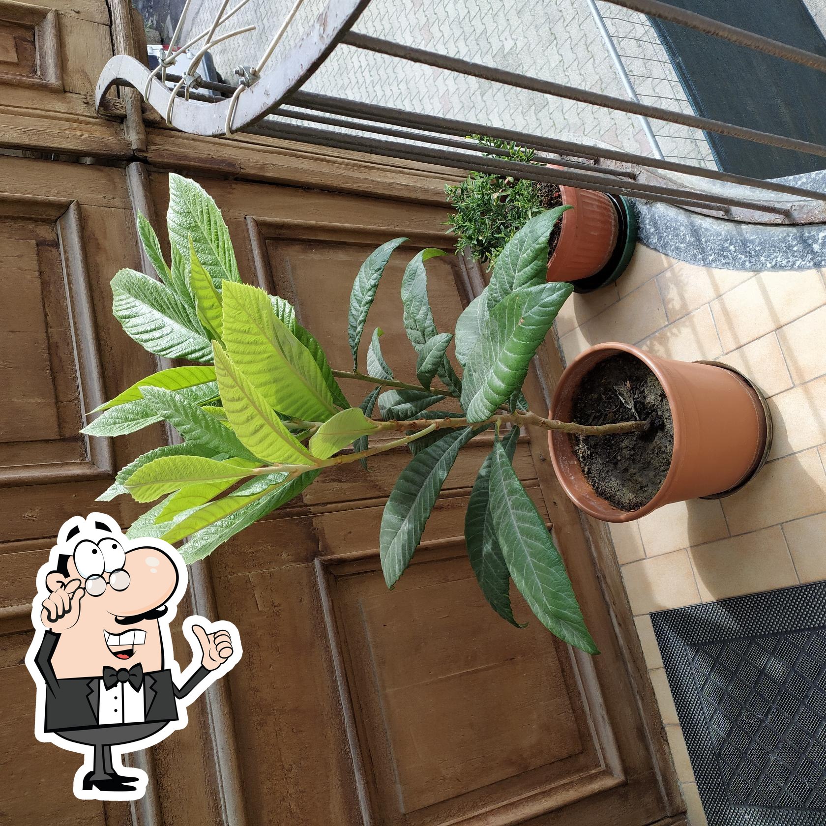 Foto di Restaurant Guru