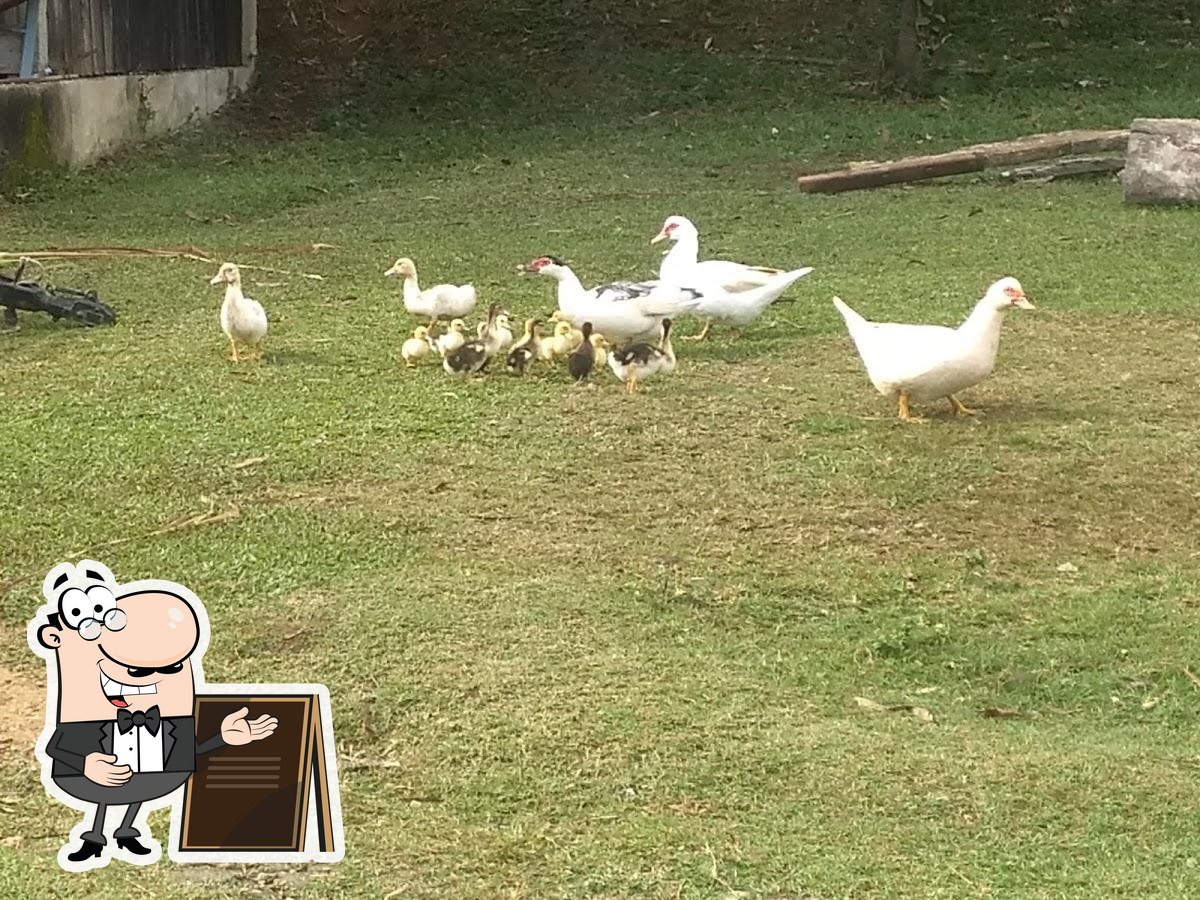 Foto do Google
