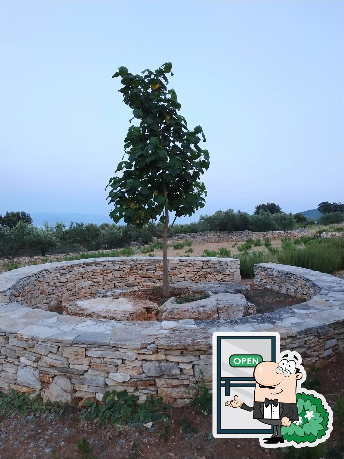 Foto di Google