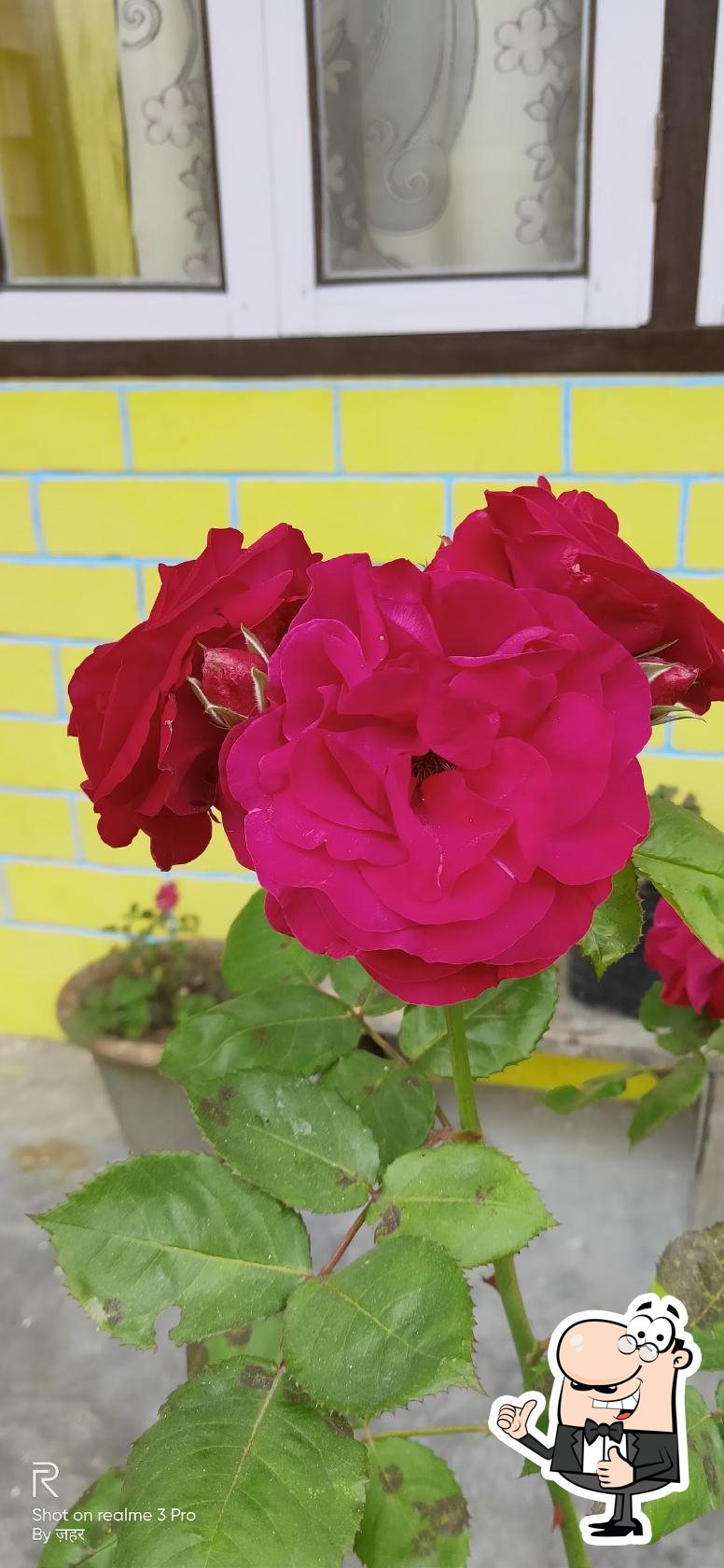 Photo from Google