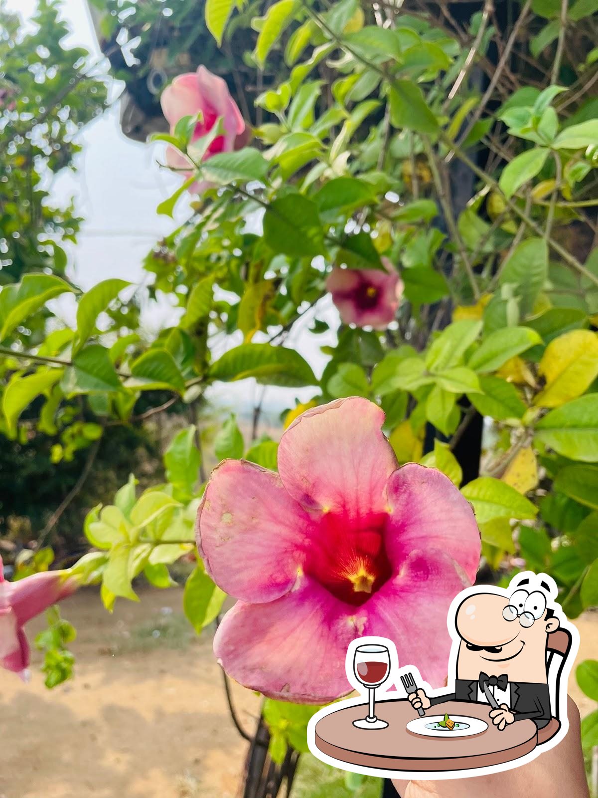 Photo from Google