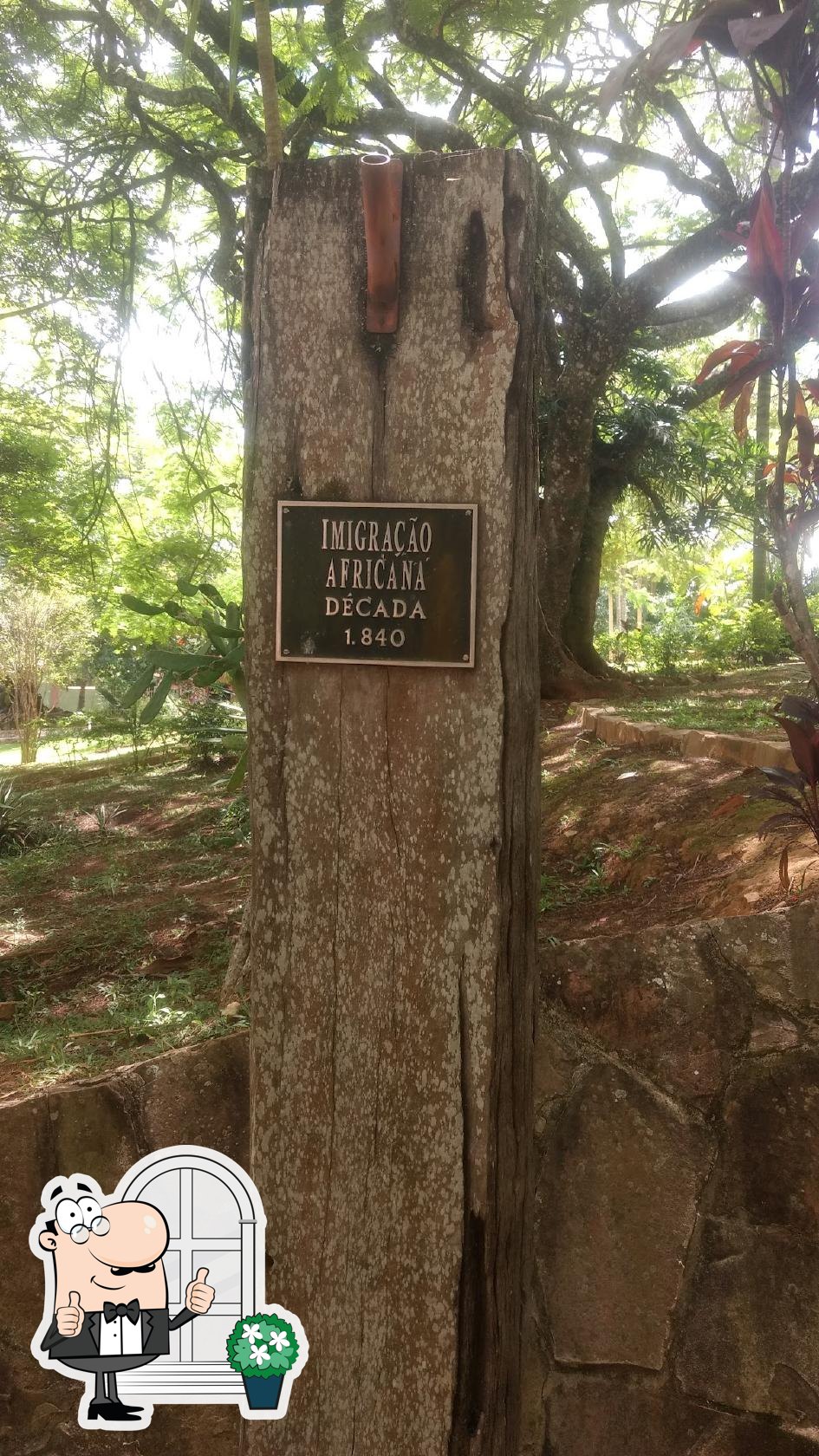 Foto do Google