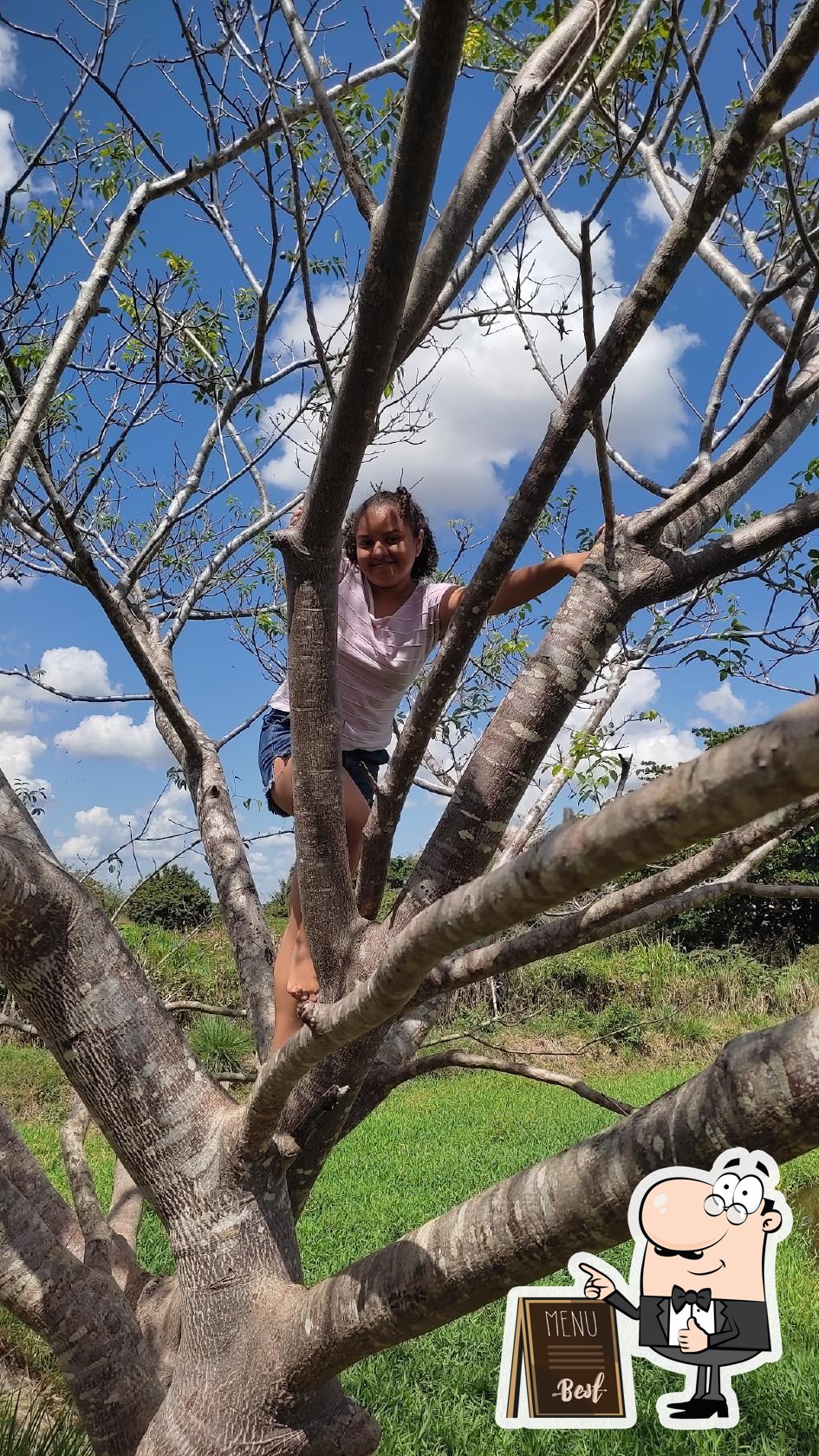 Foto do Google
