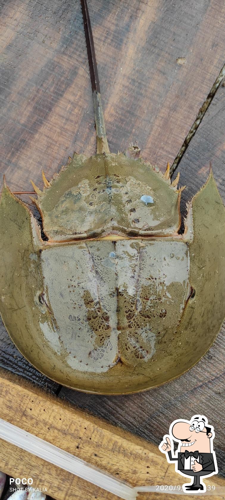 Photo from Google