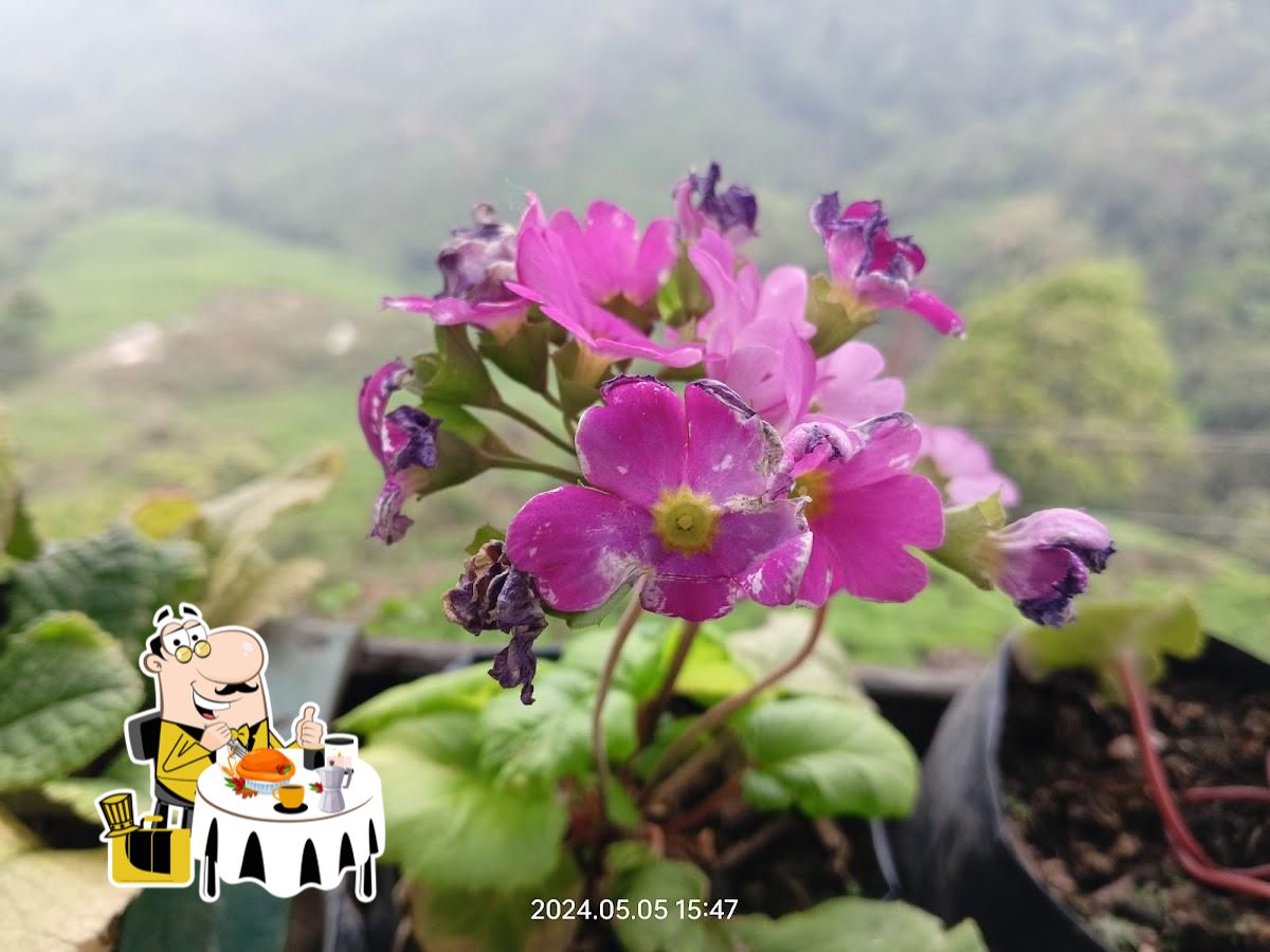 Photo from Google