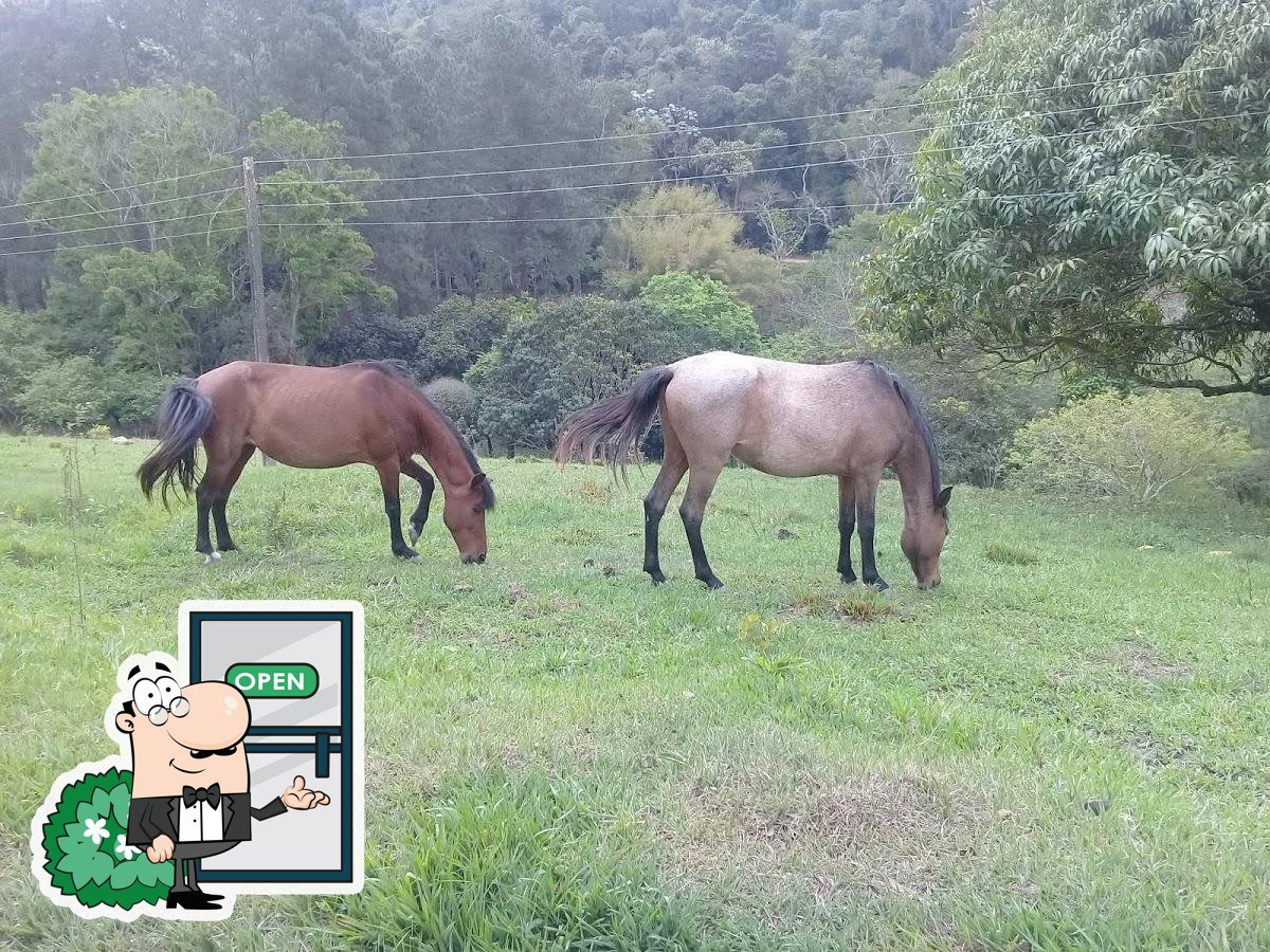 Foto do Google
