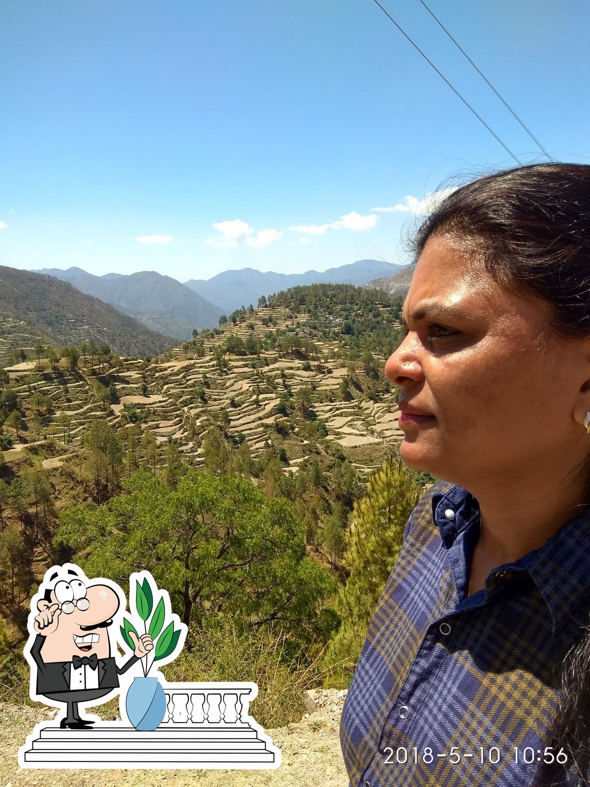 Photo from Google
