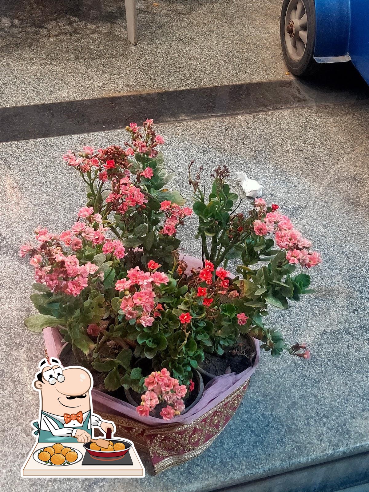 Photo from Google
