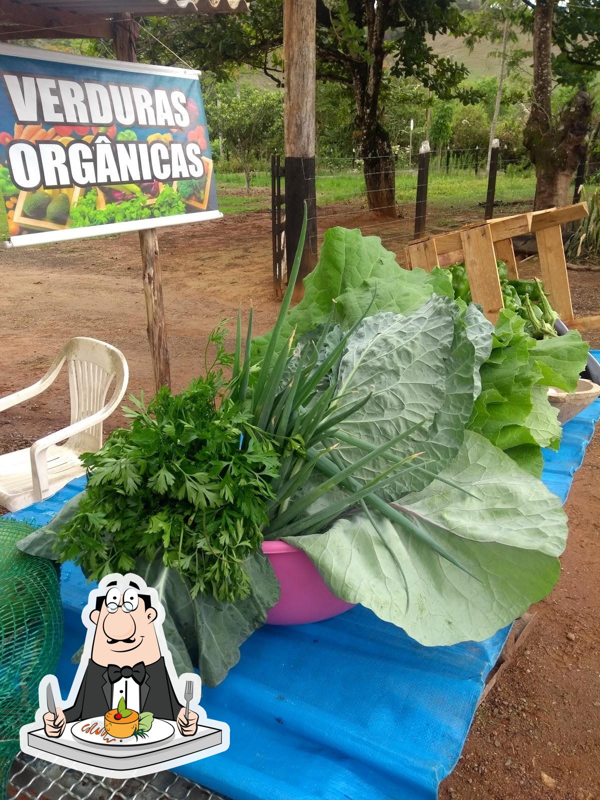 Foto do Google