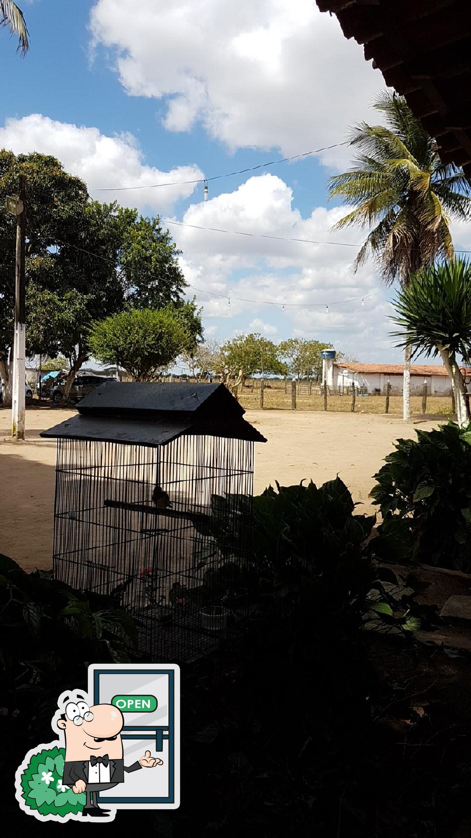 Foto do Google