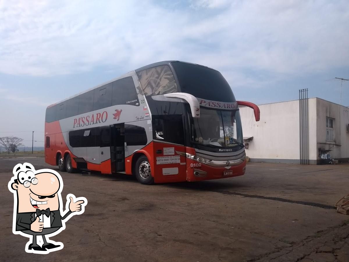 Foto do Google