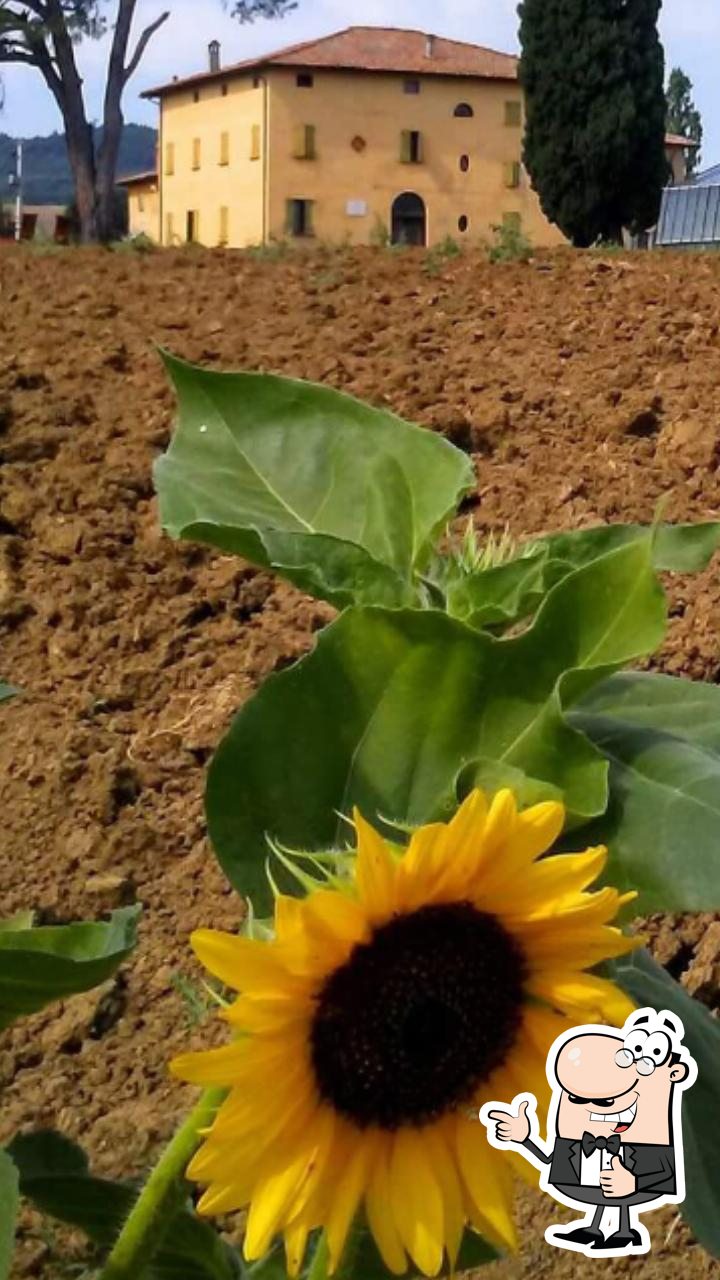 Foto di Google