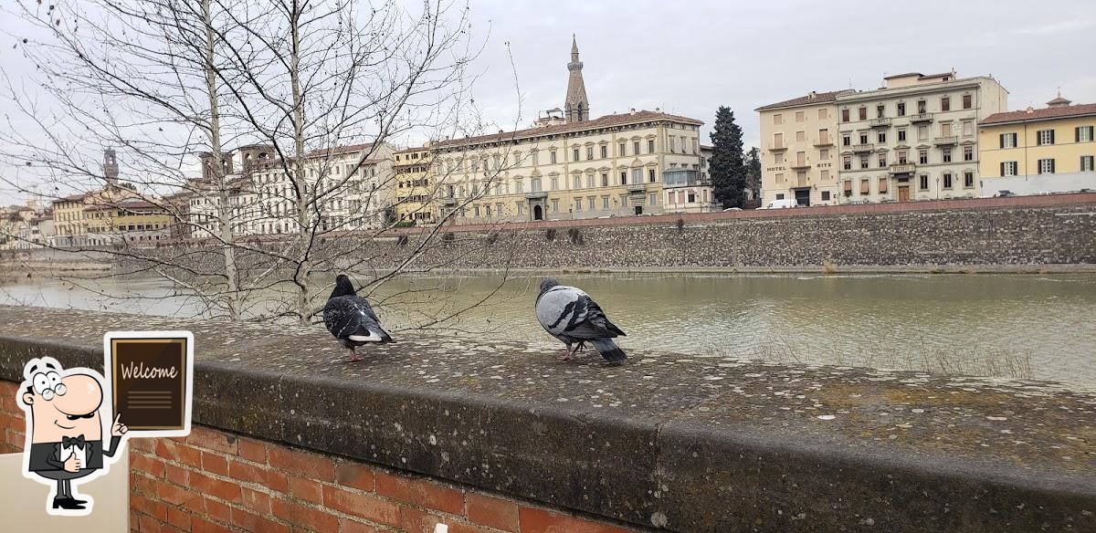 Foto di Google