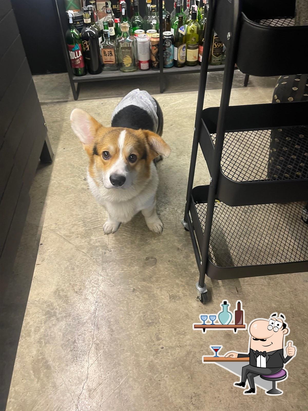 Google の写真