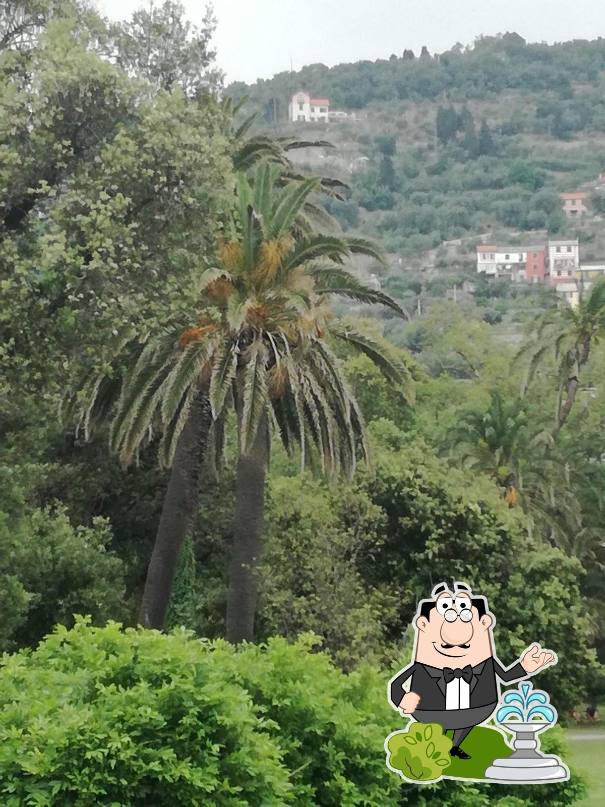 Foto di Google