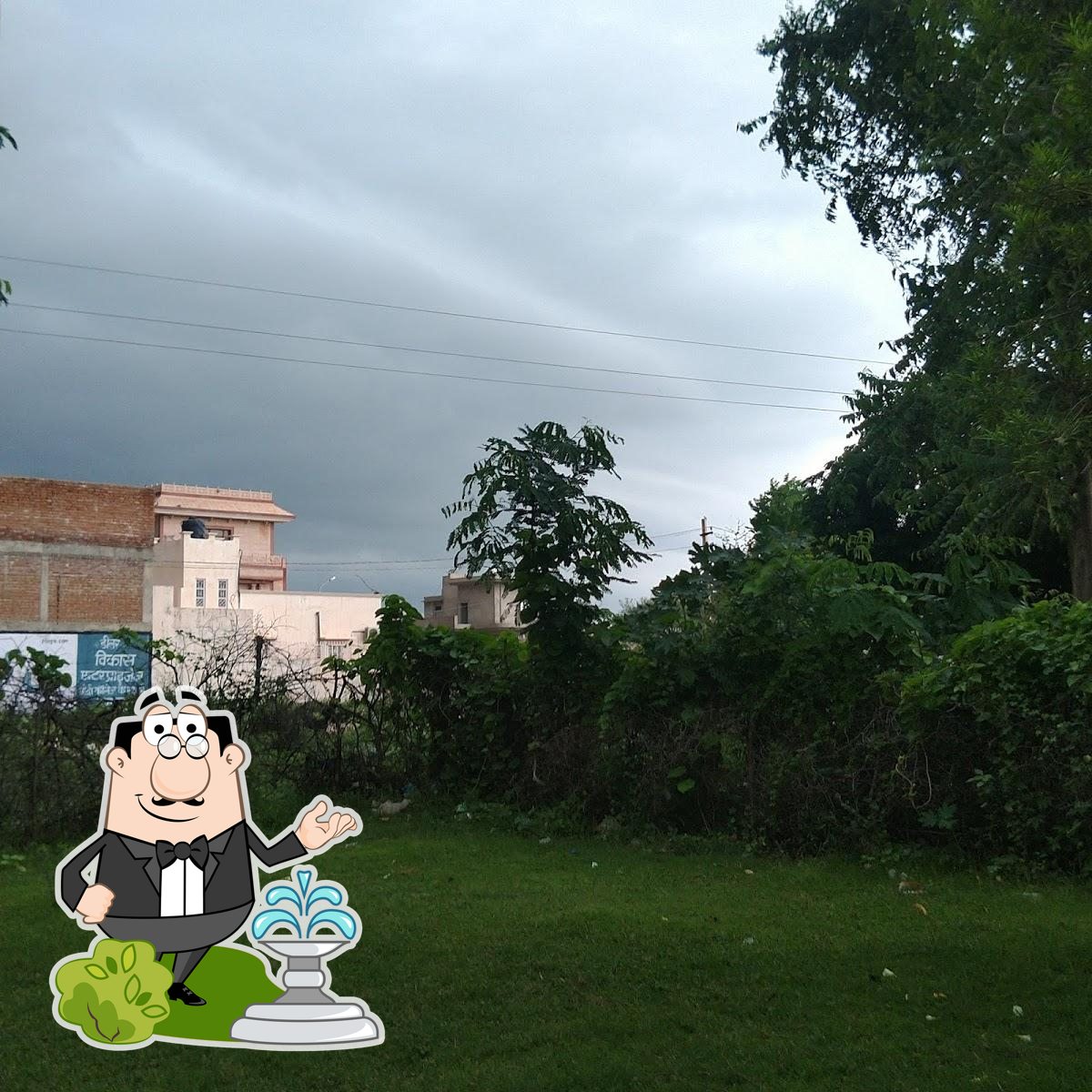 Photo from Google