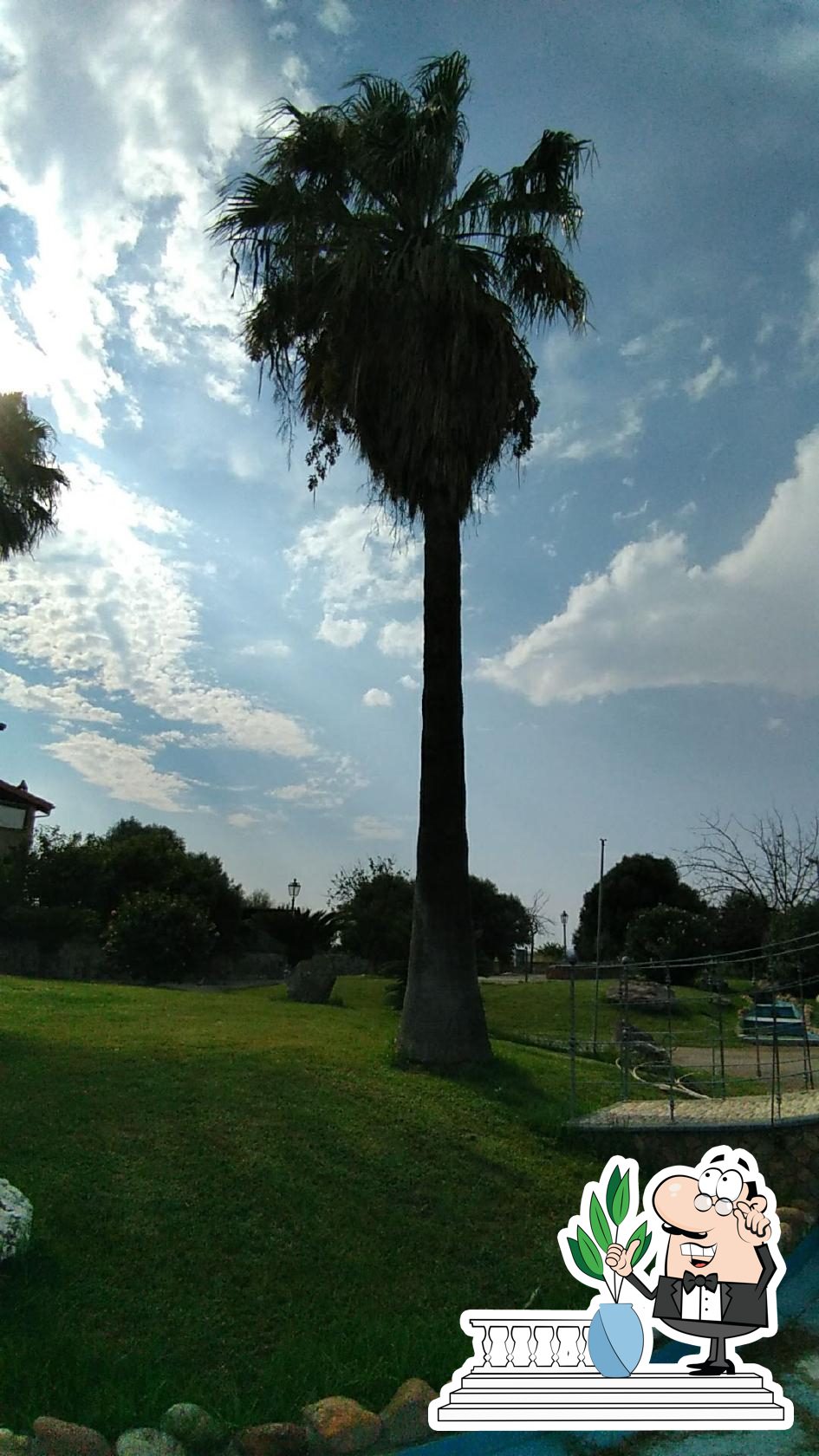 Foto di Google