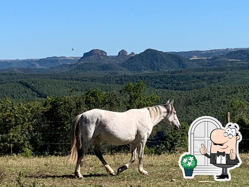 Foto do Google