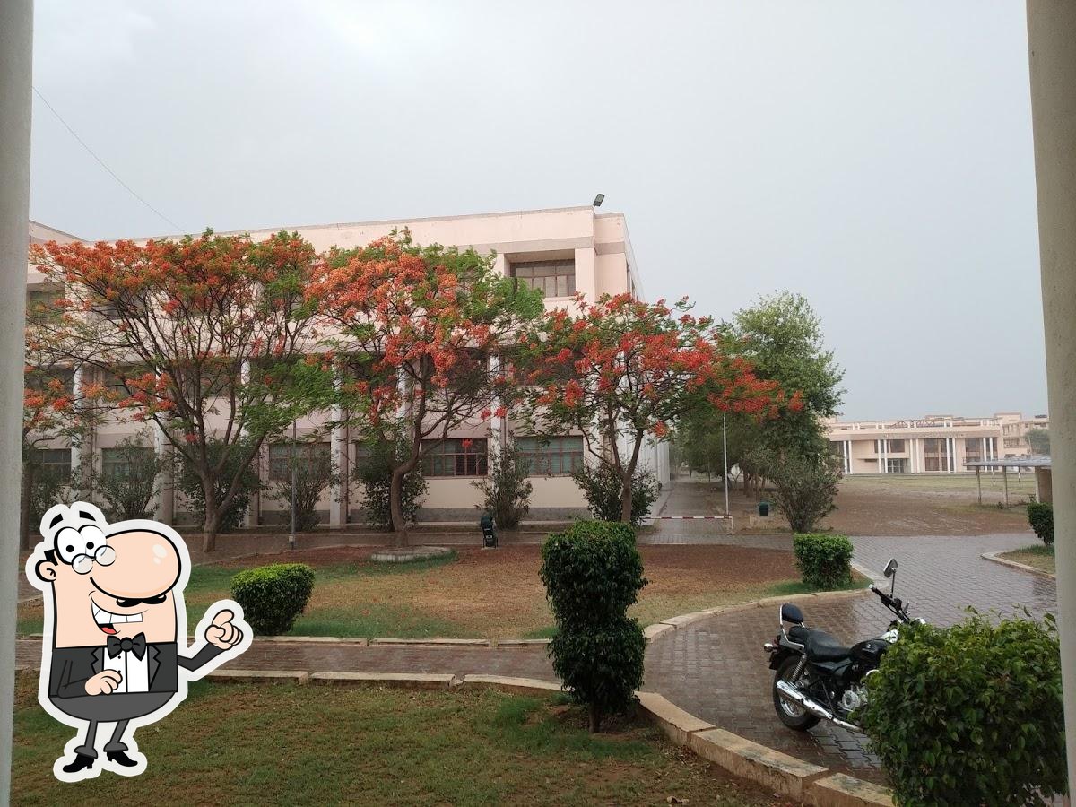 Photo from Google