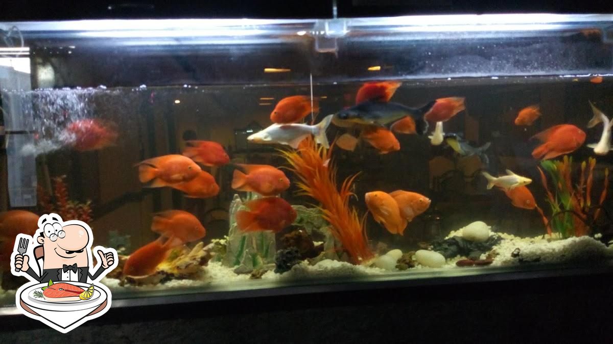 Photo from Google