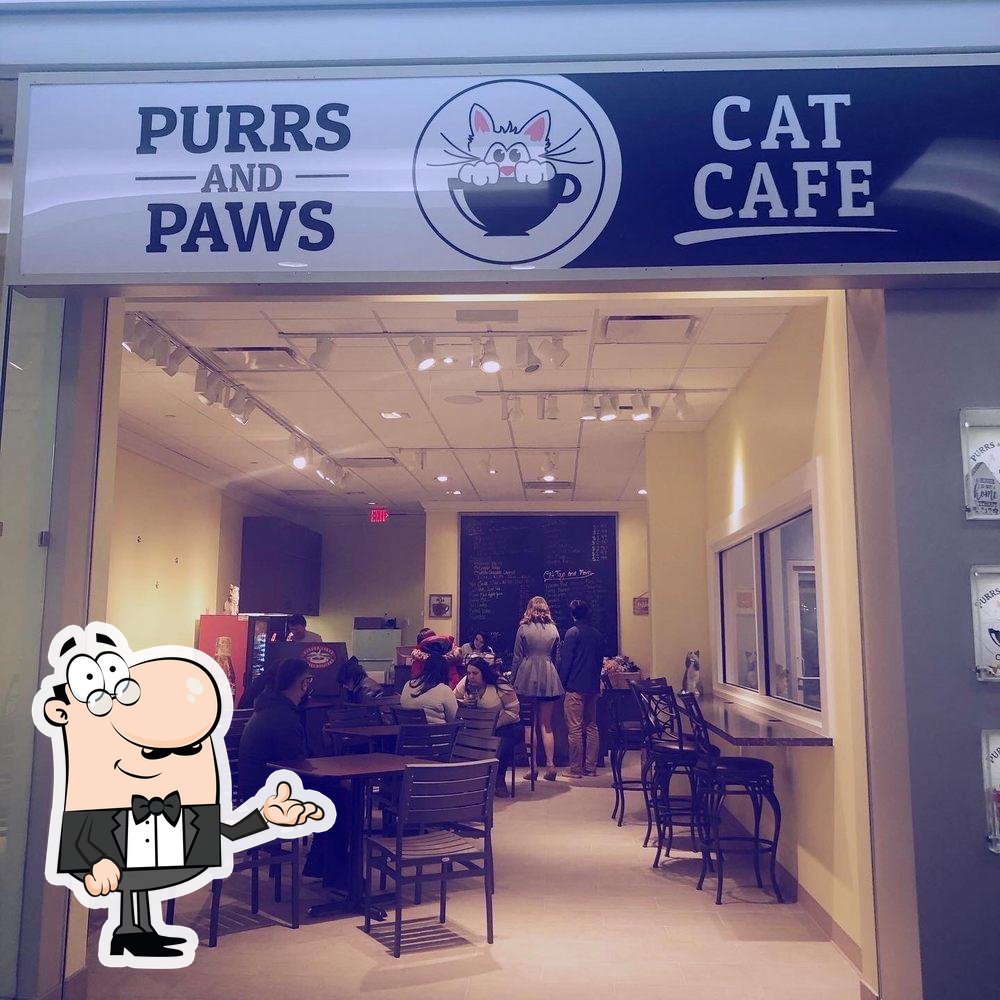 Purrs And Paws Cat Cafe In Fishers Restaurant Menu And Reviews