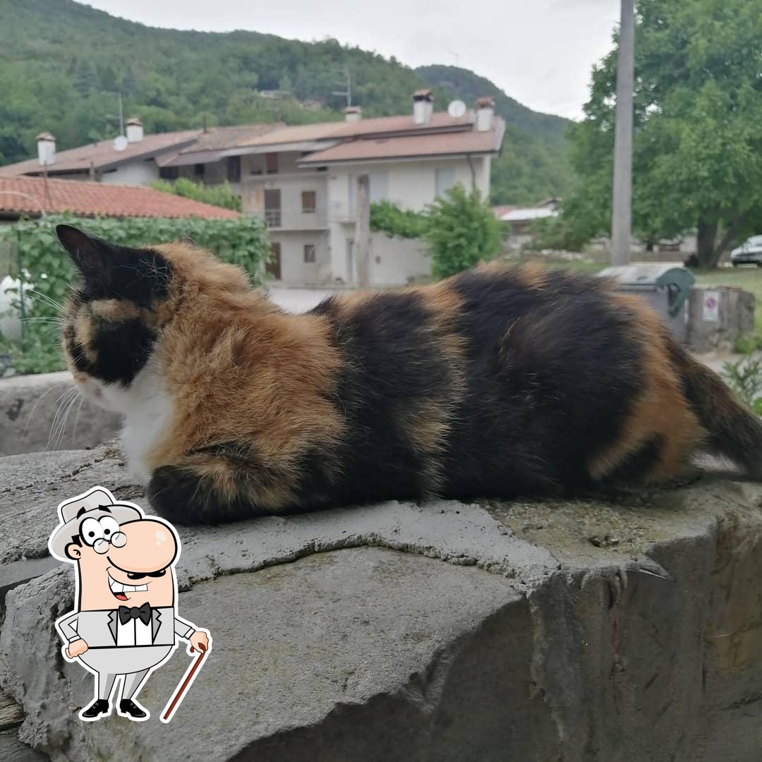 Foto di Google