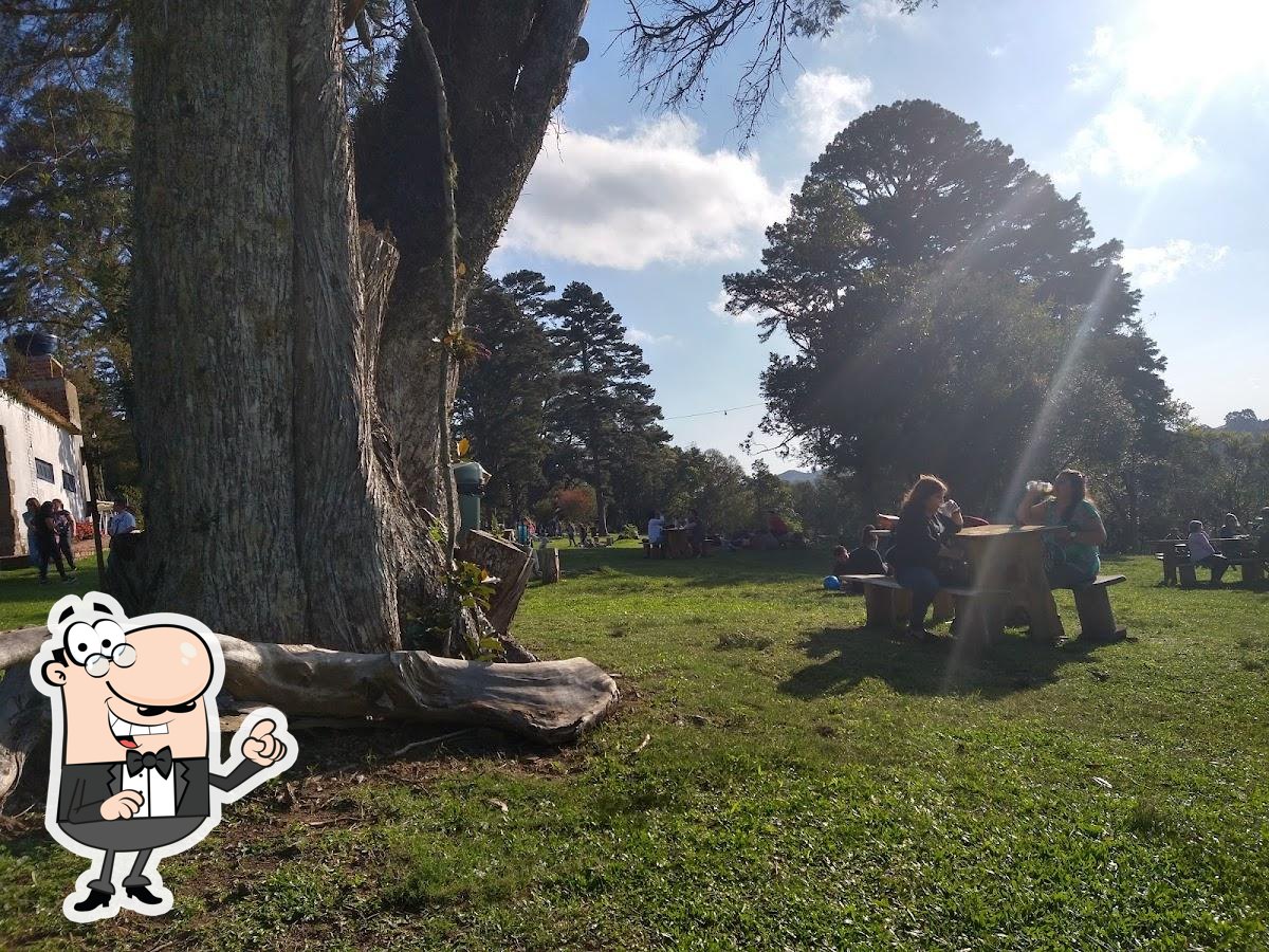 Foto do Google