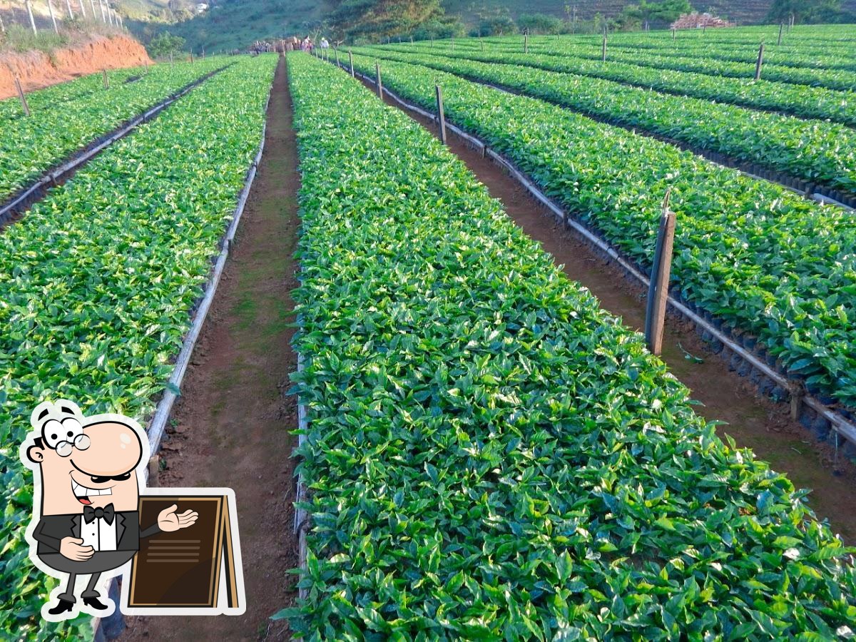 Foto do Google