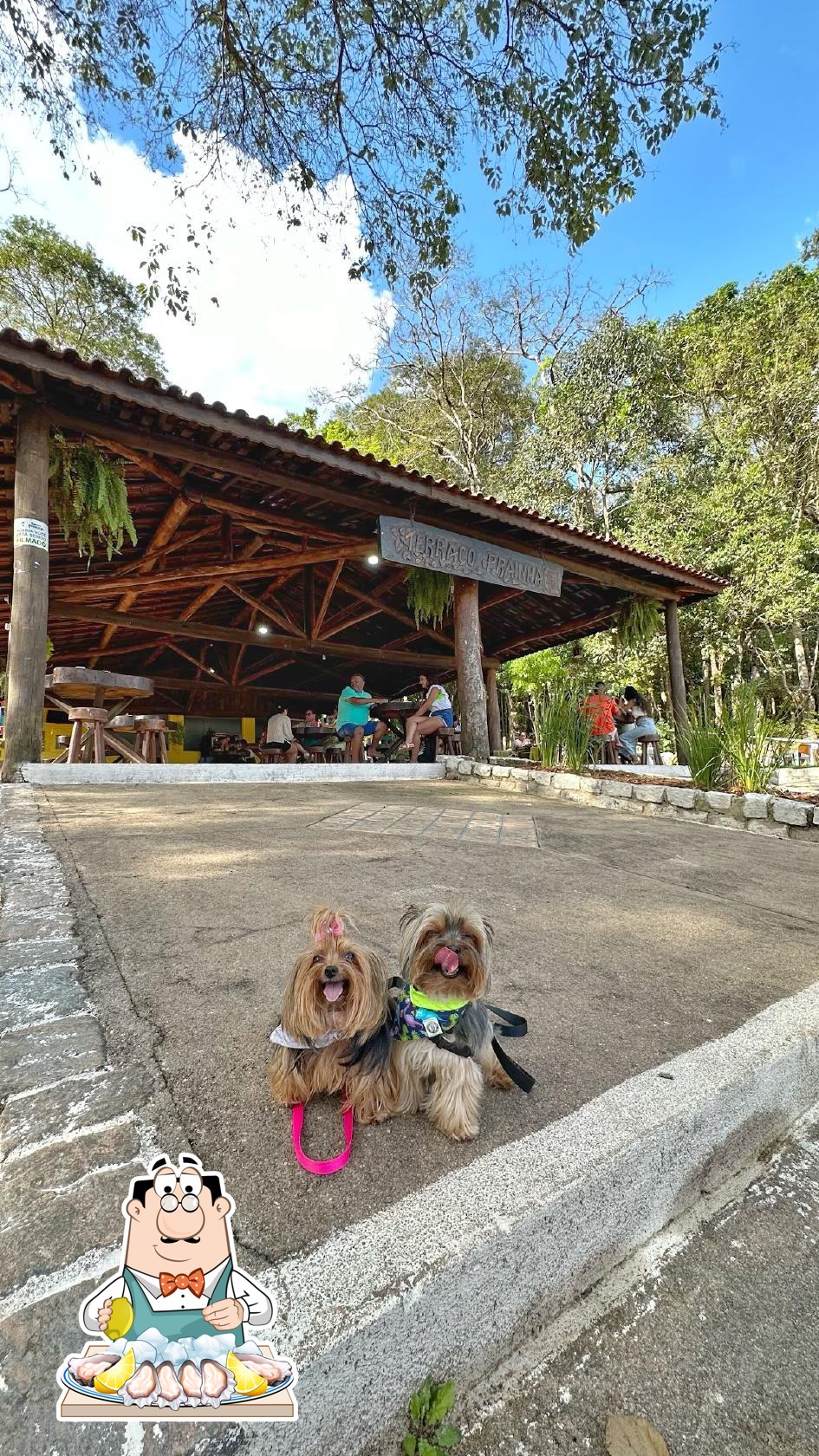 Foto do Google