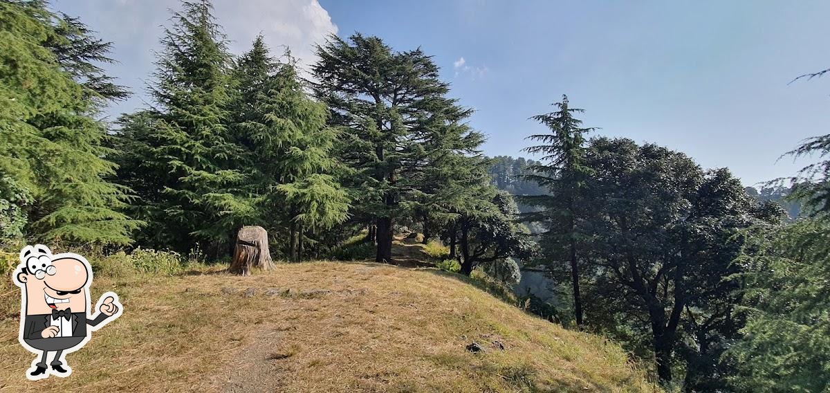 Photo from Google