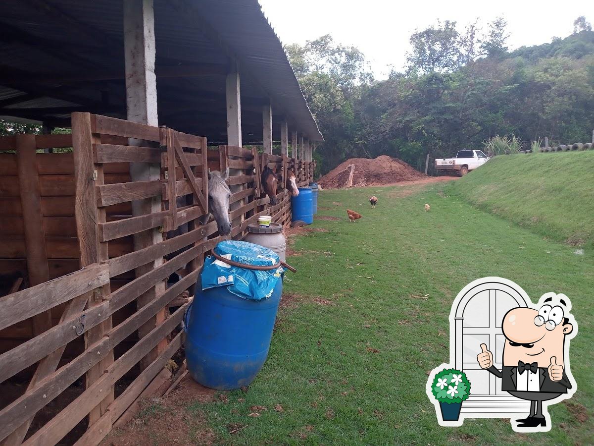 Foto do Google
