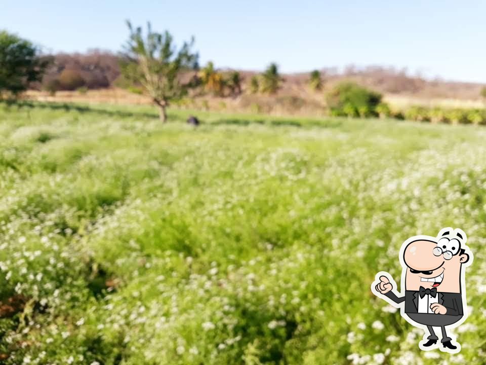 Foto do Google