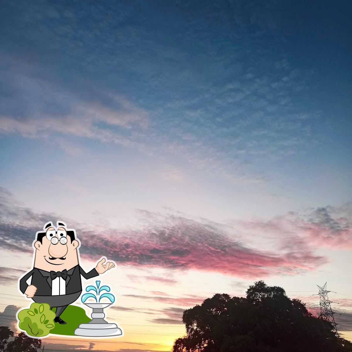 Photo from Google
