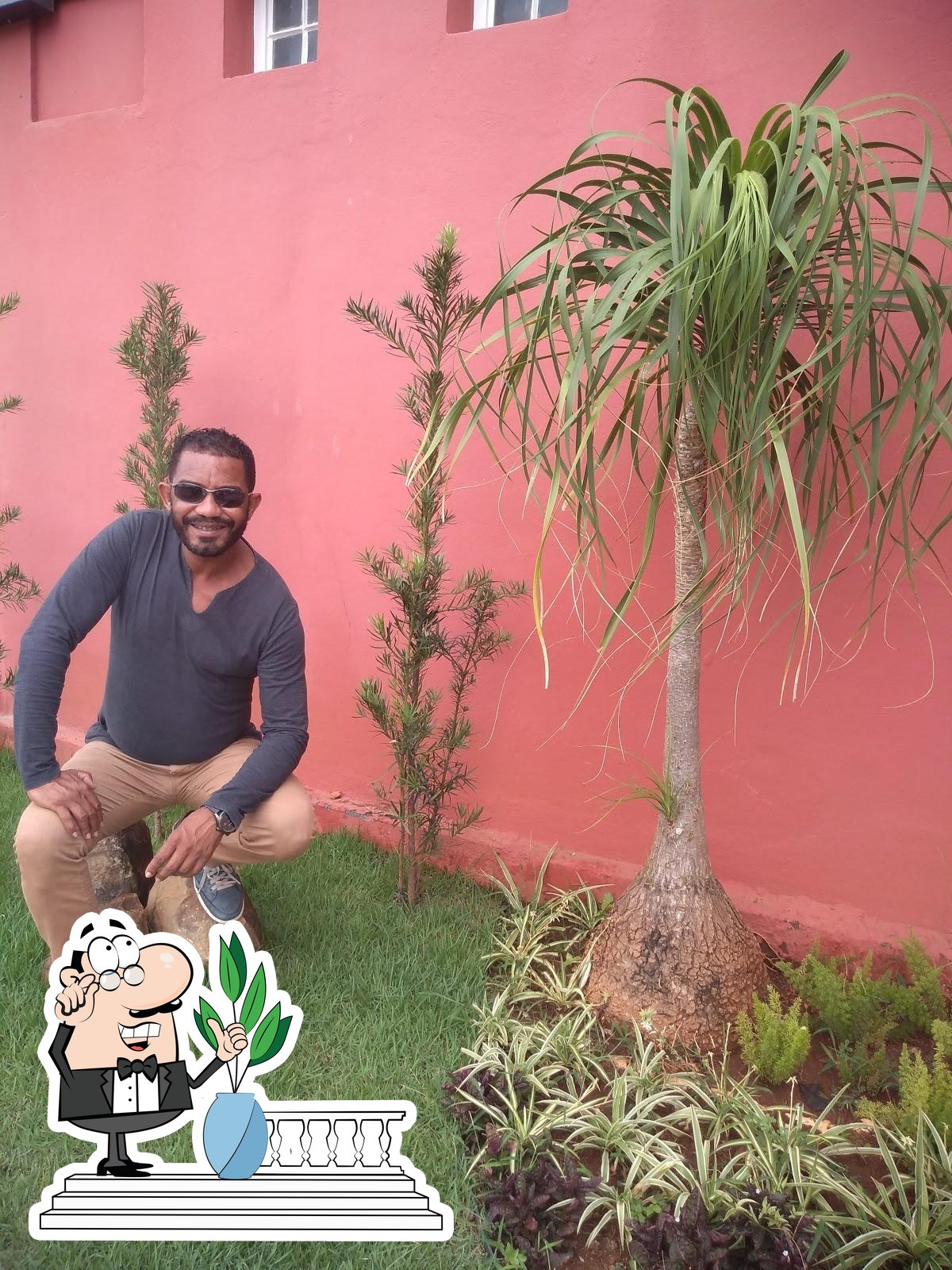 Foto do Google