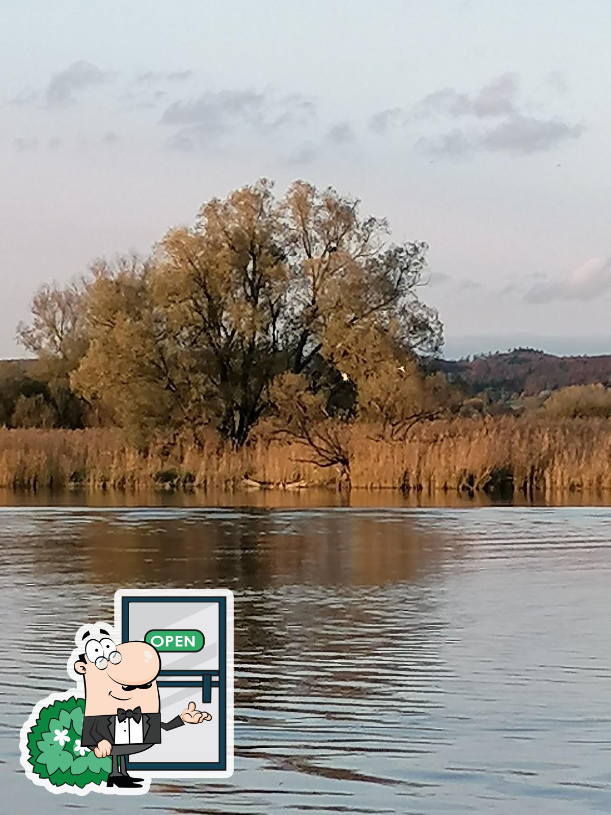 Foto di Google