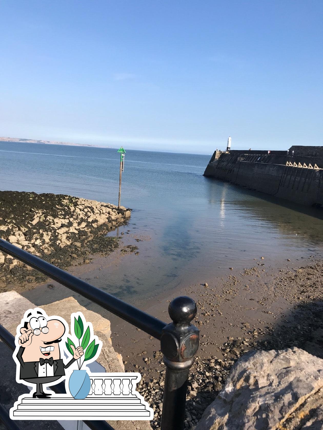 harbour-bar-kitchen-porthcawl-restaurant-menu-prices-and-reviews