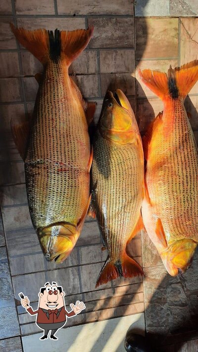 Platos en Bar, Porções, Petisco de Peixe e Aluguel de Barcos em Santa Maria, Sp