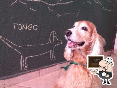 O menu do quadro negro mostra as opções disponíveis
