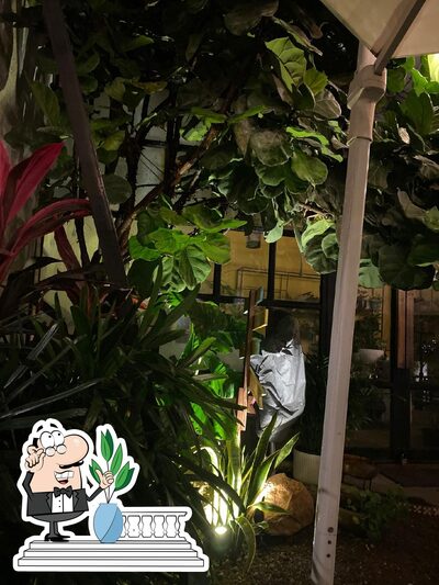 You can get some fresh air at the outside area of Hush Cafe
