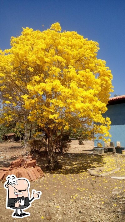 Panela De Ferro foto