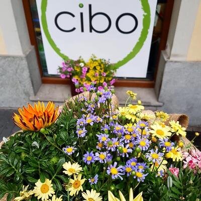 Il logo di CIBO