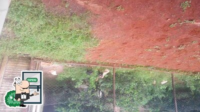 Desfrute da vista do exterior Procopão