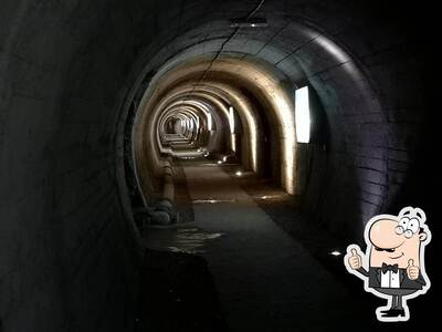 Kot foto