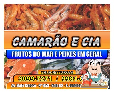 Consiga diferentes pratos de frutos do mar oferecidos no Camarão & Cia