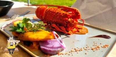Dégustez les saveurs de la mer à Restaurant DUNE