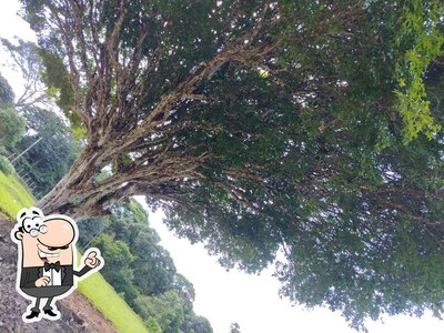 Veja imagens do exterior do Pesque e Pague do Bininho