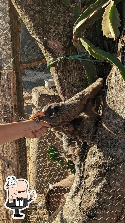 Mini zoologico Jaci Vilela foto