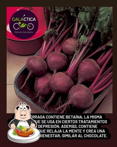 Comida em Galáctica - Delivery Saludable