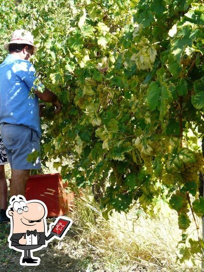 Découvrez la zone extérieure de Azienda Agricola Savini