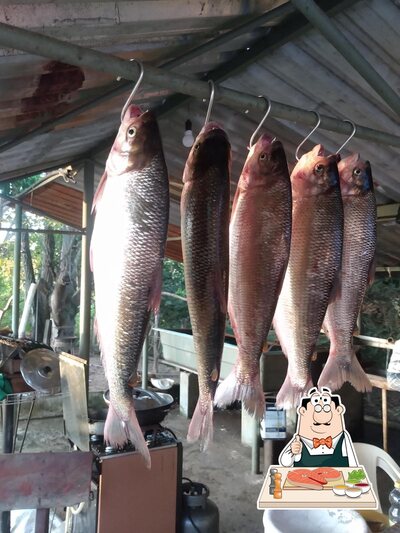 Pesque Pague Capivara oferece uma seleção de pratos de peixe
